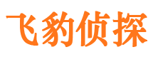 蓝田市私家侦探